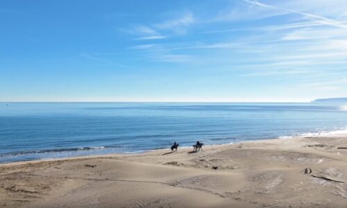 Captura de pantalla 2026-02-19 a las 19.35.45